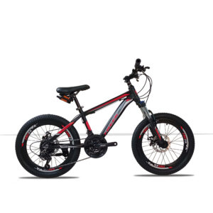 کوشا اسپورت دوچرخه تریک سایز 20 Treek mountain bike