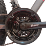 کوشا اسپورت دوچرخه ردفوکس سایز 26 (Red Fox bicycle size 26)