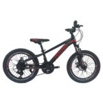 دوچرخه روکستر استیل ۲۰ مدل کوهستان | Roxter Mountain Bike Steal Size 20 - Image 4