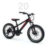 دوچرخه روکستر استیل ۲۰