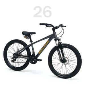 دوچرخه روکستر 26