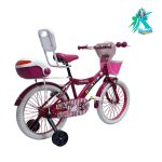 دوچرخه کودک دخترانه روکستر سایز 20 بدنه استیل سرخ آبی