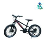 دوچرخه نوجوان روکستر سایز 20 بدنه استیل 21 دنده مشکی قرمز
