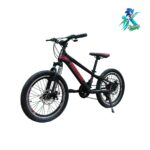 دوچرخه نوجوان روکستر سایز 20 بدنه استیل 21 دنده مشکی قرمز