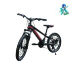 دوچرخه نوجوان روکستر سایز 20 بدنه استیل 21 دنده مشکی قرمز