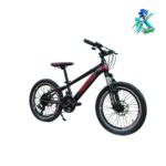 دوچرخه نوجوان روکستر سایز 20 بدنه استیل 21 دنده مشکی قرمز