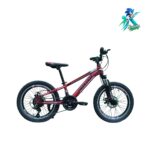 دوچرخه نوجوان روکستر سایز 20 بدنه استیل 21 دنده مشکی قرمز