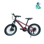 دوچرخه نوجوان روکستر سایز 20 بدنه استیل 21 دنده مشکی قرمز