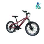 دوچرخه نوجوان روکستر سایز 20 بدنه استیل 21 دنده مشکی قرمز