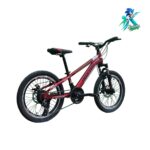 دوچرخه نوجوان روکستر سایز 20 بدنه استیل 21 دنده مشکی قرمز