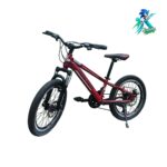 دوچرخه نوجوان روکستر سایز 20 بدنه استیل 21 دنده مشکی قرمز